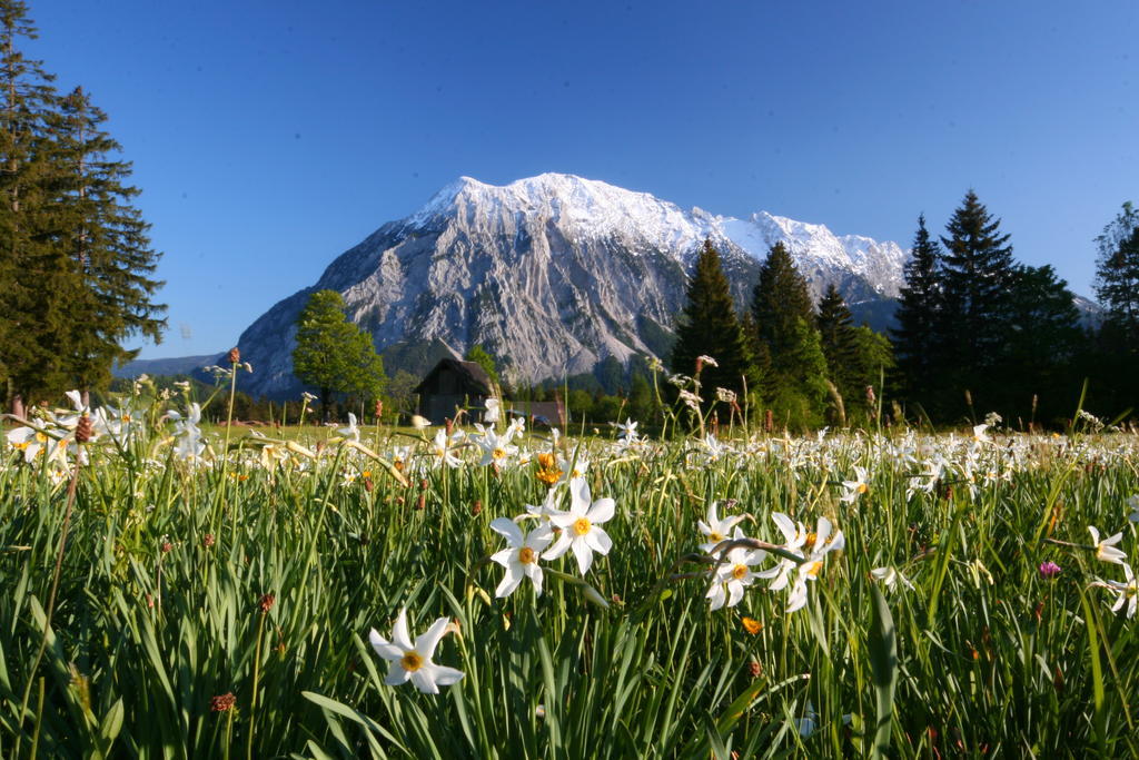 Hotel Kreutzer Tauplitz Exteriér fotografie